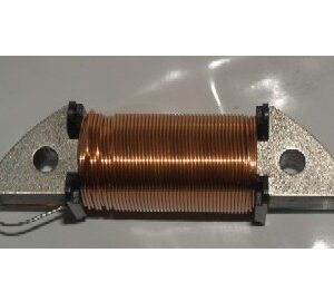 Bobina excitacion Ducatti