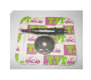 Juego piñones transmision TJT 1ª Suzuki Katana - Aprilia Di Tech