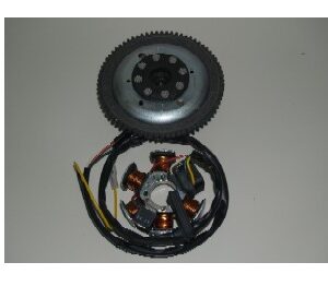 Volante magnético Ducati Yamaha TZR 50 - Aprilia RS 50 Motor AM